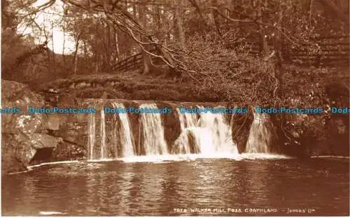 R140837 7878. Walker Mill Foss. Goathland. Richter