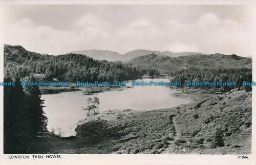 R140358 Coniston. Tarn Howes. Photochrom. Nr. V1944