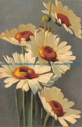 R140975 Blumen. Postkarte. Alpha 1914