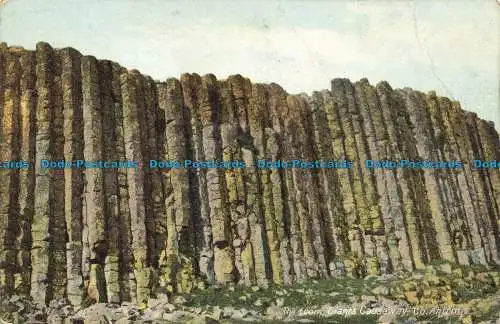 R641009 Co. Antrim. Der Webstuhl. Giants Causeway. Lawrence. Nein. 8119