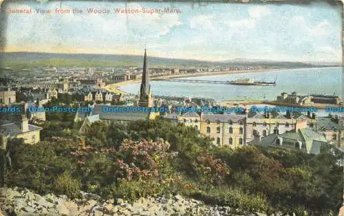 R640055 Weston Super Mare. Allgemeiner Blick aus dem Wald. F.Nr. 1604. 1906