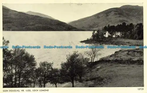 R641074 Loch Lomond. Glen Douglas Nr. Luxus. J. Lachs