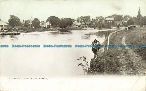 R641454 Halliford. Blick auf die Themse. 1906