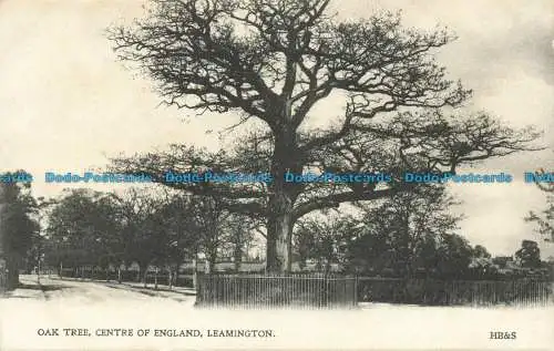 R641471 Leamington. Eiche. Zentrum von England