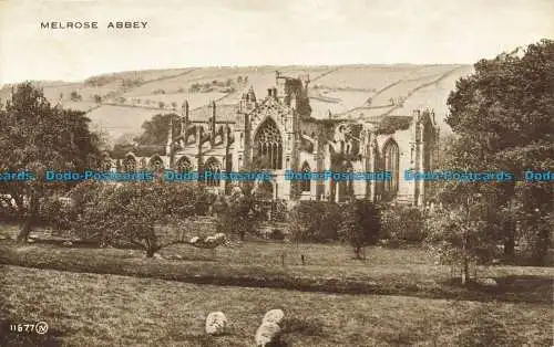 R641486 Melrose Abbey. Valentinstag. Carbotone Serie. Bild