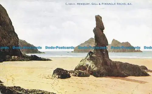 R641505 Newquay. Möwe und Pinnacle Rocks. und C. Photochrom. Celesque Serie