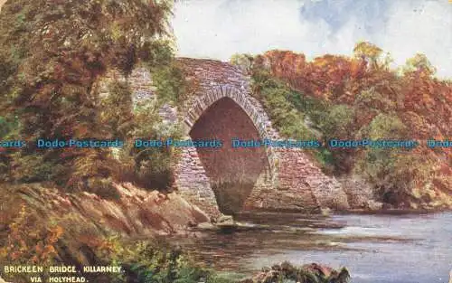 R641840 Killarney. Über Holyhead. Brickeenbrücke. McCorquodale. 1910