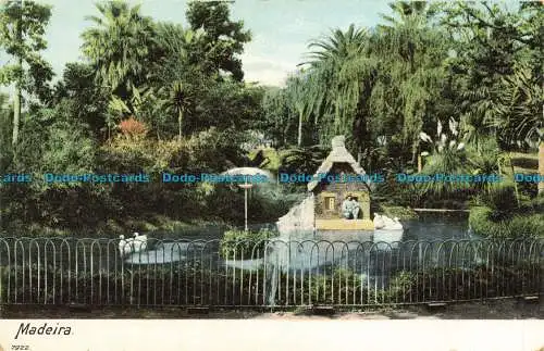 R641993 Madeira. Parken. Teich. Schwäne. Postkarte