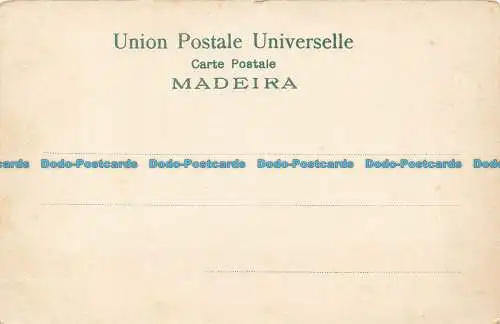 R641993 Madeira. Parken. Teich. Schwäne. Postkarte