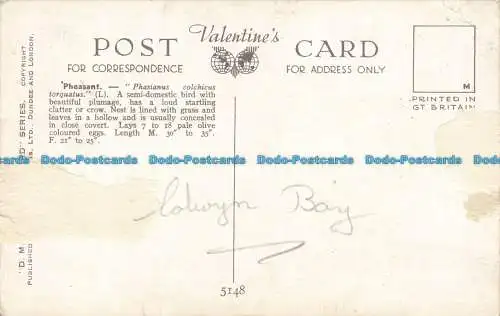 R642293 Fasan. Valentinstag. Vogelserie. D.M. Henry