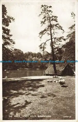 R642824 Birmingham. Lickey Hills. Die Pools. Valentinstag. Foto braun