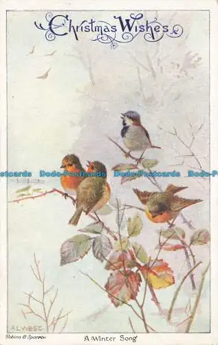 R642443 Weihnachtswünsche. Ein Winterlied. C.W. Faulkner. Serie 1631. Robins und