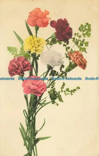 R643557 Blumen. Misch. Martin Rommel