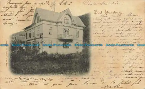 R644368 Bad Harzburg. Villa Feise. H. Woldag. 1900