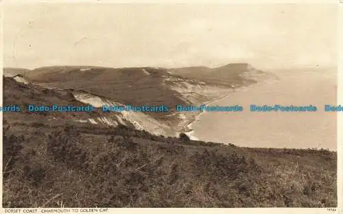 R644445 Dorset Coast. Charmmouth bis goldene Kappe. Dunster Library