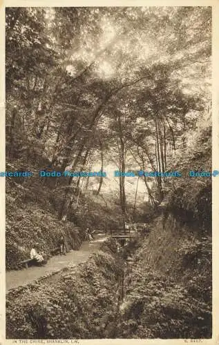 R643777 I.W. Shanklin. In China. W.J. Nigh. 1924