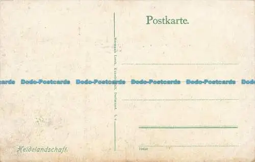 R645217 Heidelandschaft. Hermann Lorch. Postkarte