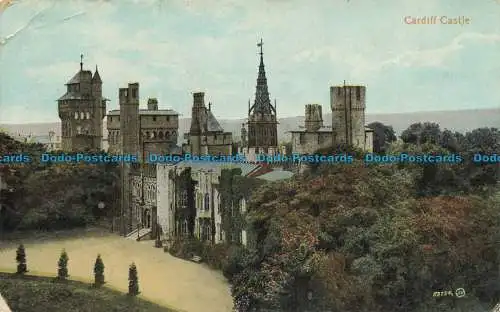 R644594 Schloss Cardiff. W. 1917