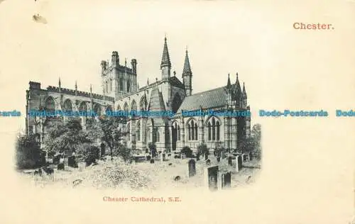 R644671 Chester. Chester Cathedral S.E