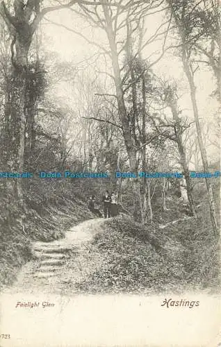 R644045 Hastings. Fairlight Glen. Hartmann. 1903