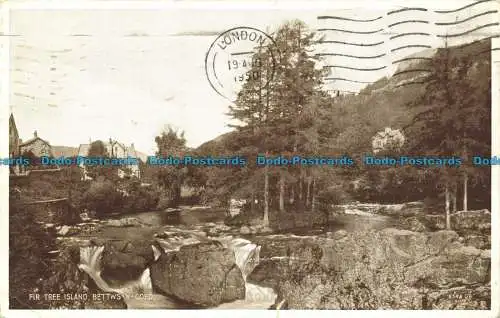 R645481 Bettws und Coed. Fir Tree Island. Valentinstag. Foto braun. 1950