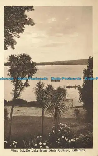 R644144 Killarney. Blick auf den mittleren See vom Dinis Cottage aus. McCarthy