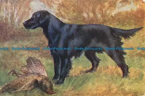 R644892 schwarzer Hund mit Vogel. Jarrold Serie. 1913