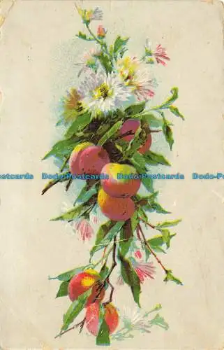 R644237 Grußkarte. Obstzweig mit Blüten. Postkarte