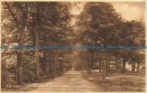 R645592 Farnborough Common. Golf Lane. F. Frith. Nein. 68924