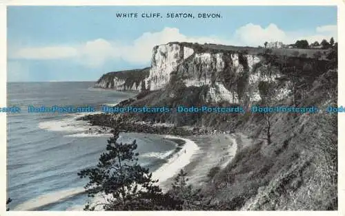 R645621 Devon. Sitzplatz. Weiße Klippe. E.T.W. Dennis. Photoblue