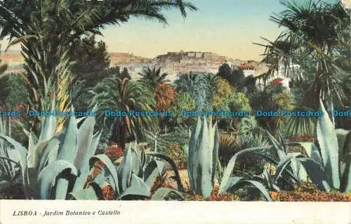 R644966 Lissabon. Botanischer Garten und Schloss. Tabak von Ingleza