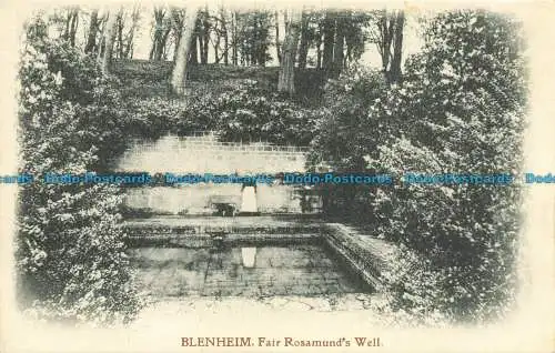 R646267 Blenheim. Fairer Rosamundbrunnen. Savage