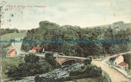 R646365 Pfad- und Brückenende Allendale. Ruddock. 1904