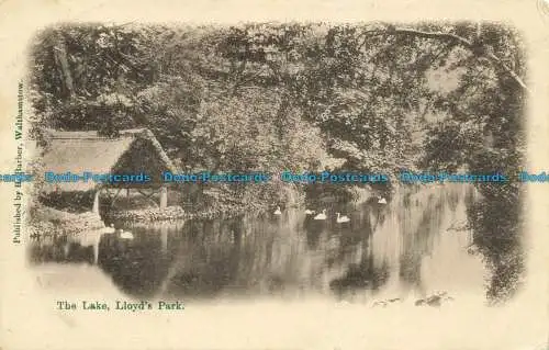 R647339 Lloyd Park. Der See. H. Friseur. 1904