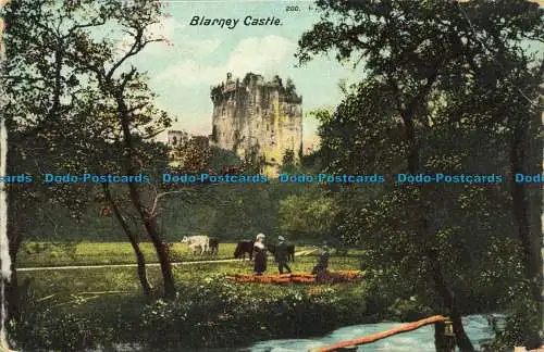 R645818 Blarney Castle. Postkarte