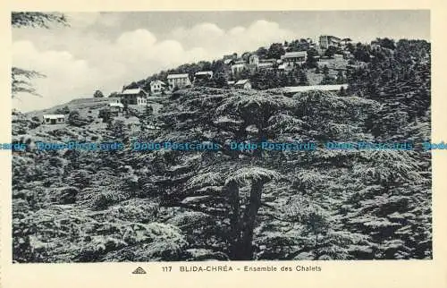 R647429 Blida. Chrea. Set der Chalets. C.A.P