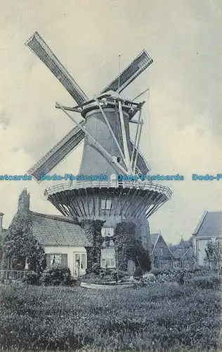 R646626 Holland. Windmühle. Dr. Trenkler. Serie 530. 7