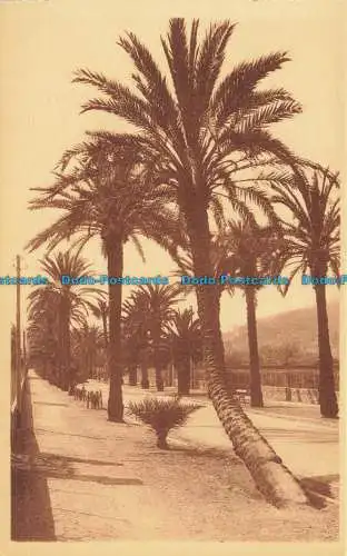 R647261 Hyeres. Die Palmen. Avenue Beauregard. LL. 137