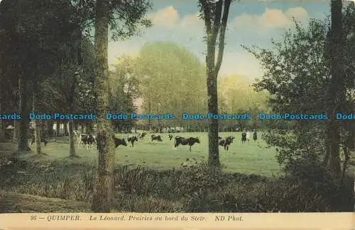 R647639 Quimper. Der Leonard. Wiesen am Steir. ND. Foto