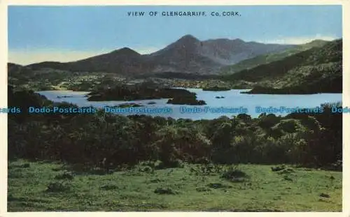 R647302 Co. Kork. Blick auf Glengarriff. H. Roshill