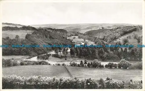 R647829 Alston. Tyne Valley. Valentinstag. T.W. Trümmer