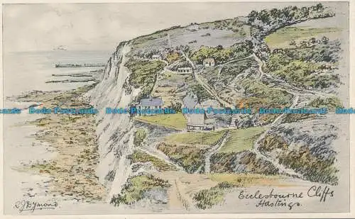 R144654 Ecclesbourne Cliffs. Hastings. Palace Buchladen