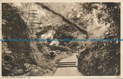 R145552 In China. Shanklin. I.W. Nigh. Nr. 5133. 1954