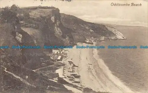 R144887 Oddicombe Beach. Valentinstag. 1911