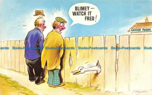 R144931 Blimey Watch it Fred. Gänsefarm. Bamforth. 1980