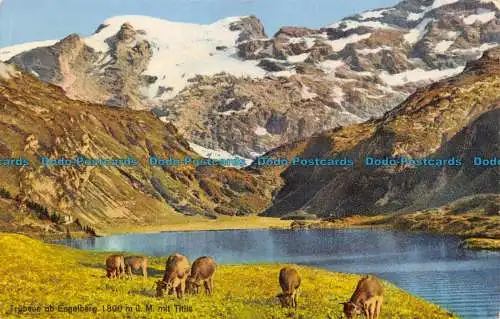 R146307 Trubsee ob Engelberg 1800m.u.M. mit Titlis