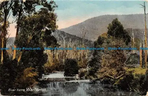 R146486 Fluss Yarra. Warburton. R.E.M