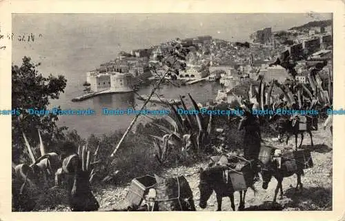 R145977 Dubrovnik. 1938