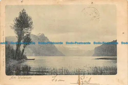 R146563 Am Walensee. E. Juncker. 1903