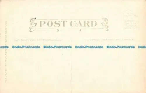 R147337 Alte Postkarte. See und Bäume. Schlesinger